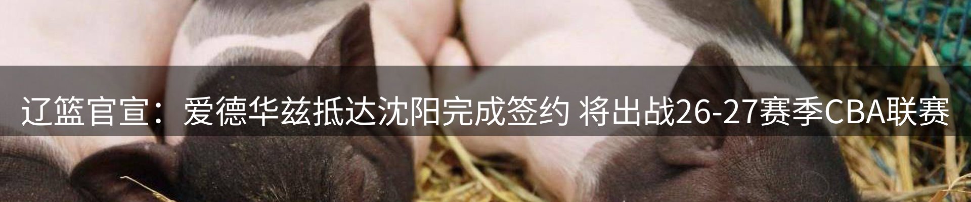 新闻导览